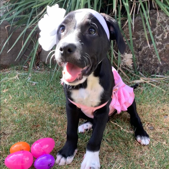 Meet your Posher, Shannon - Picture 2 of 3